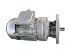 WB系列微型擺線針輪減速電動(dòng)機(jī)